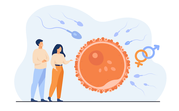 Infertility – IVF & IUI