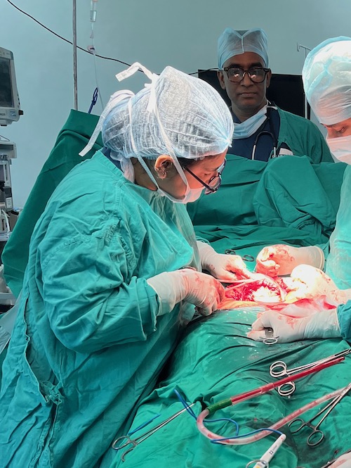 Fibroid Uterus